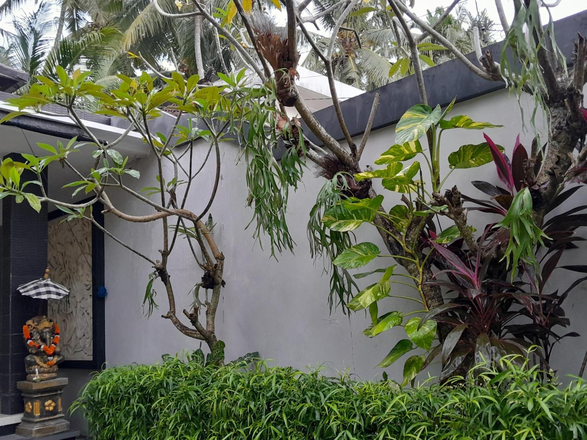 Villa Karma Candidasa Exteriör bild